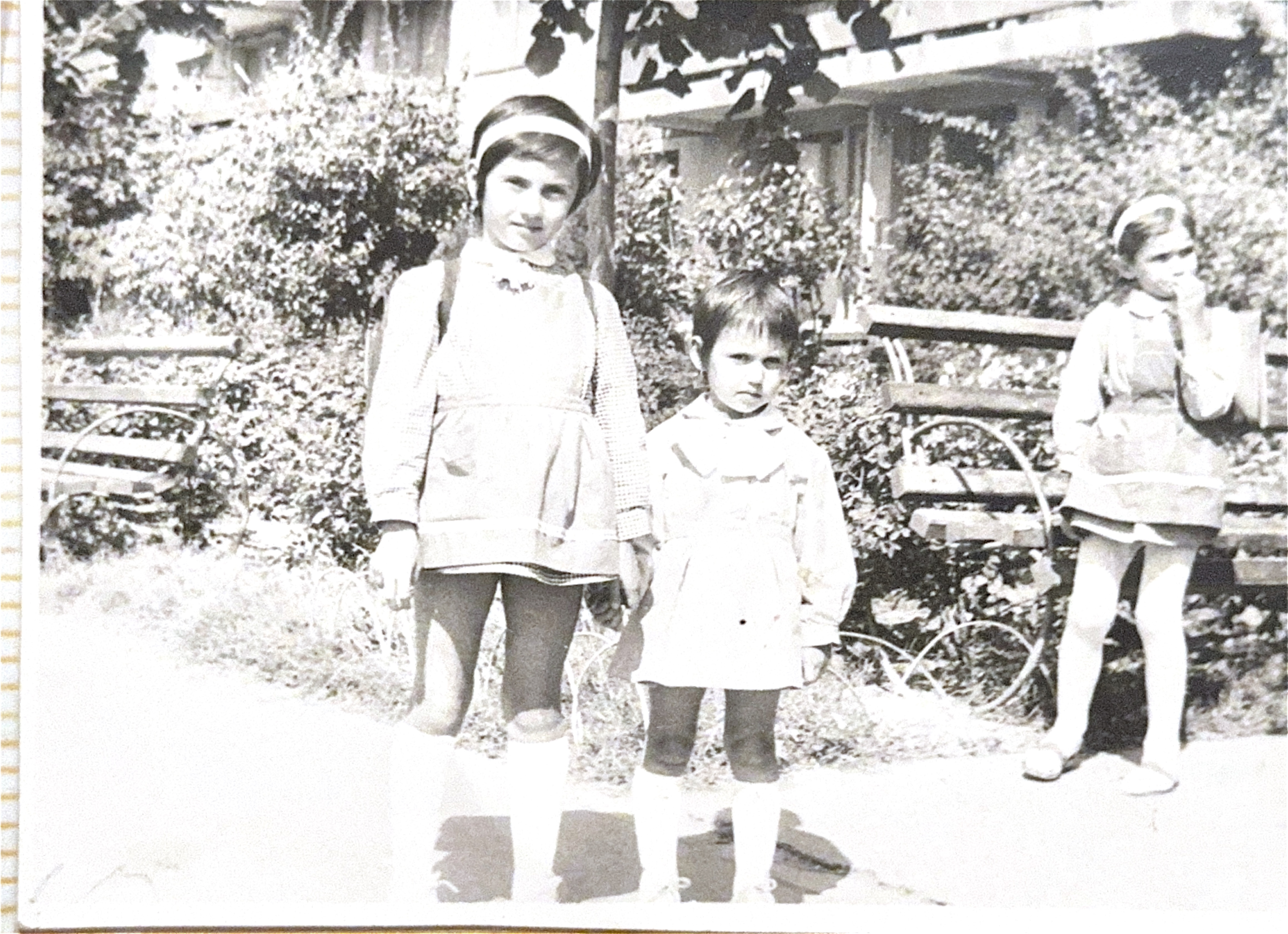 Scanned Documents 16.jpeg